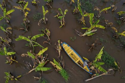 Aftermath of flooding in Brazil’s Amazonas state | Reuters News Agency