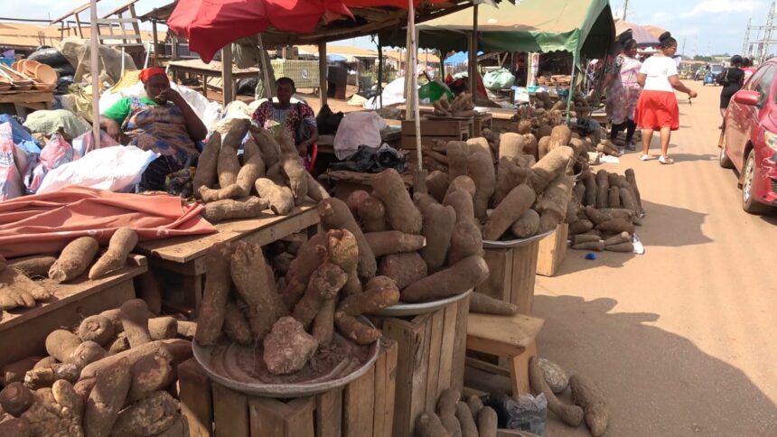 Traders blame irregular rainfall for increase in yam prices