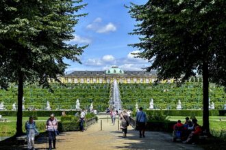 Germany’s Sanssouci Park seeks solutions as its trees struggle with climate change