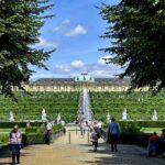 Historic UNESCO world heritage park in Germany grapples with dying trees as climate change kicks in