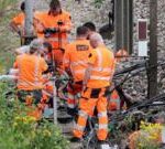 Man arrested in France over suspected railway vandalism