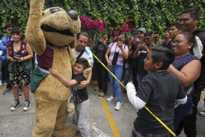 Meet Wisin — Mexico’s latest viral meme and the ‘puppy luchador’