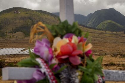 ‘We’re going to survive and it’s going to come back’: A year after Maui wildfire, survivors press on