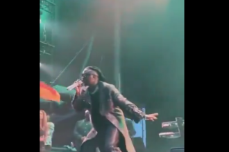 Stonebwoy makes Ghana proud with world-class performance at Reggae Geel Festival in Belgium