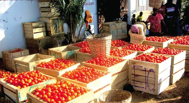 Tomatoes records significant price reduction