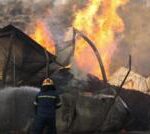 Greece fires: One dead as wildfires rage across Athens suburbs