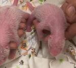 Giant panda twins born to oldest first time mum in Hong Kong