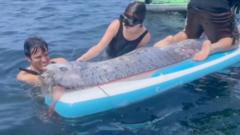 Paddle-boarders find rare ‘doomsday’ fish off California coast