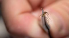 Rare mosquito virus prompts US towns to close public parks