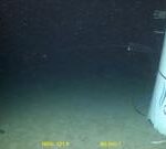 Footage revealed of Titan sub’s tail cone on sea floor