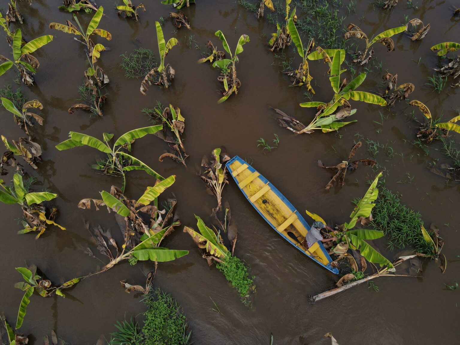 Aftermath of flooding in Brazil’s Amazonas state