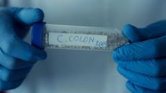 Christopher Columbus’s DNA to shed light on his origins