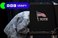 Can illegal immigrants really vote in the US election?