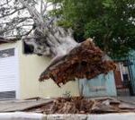 Brazil: Eight dead as storms bring strong winds and downpours