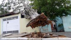 Brazil: Eight dead as storms bring strong winds and downpours