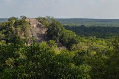 Lost Mayan city found in Mexico jungle by accident