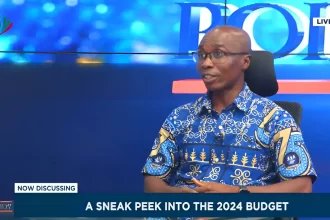 2024 budget must focus on tax compliance measures not new taxes – Economist