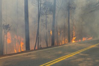 Crews battle wildfires across the US West and fight to hold containment lines