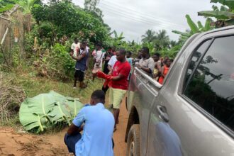 E/R: Man electrocuted after alleged attempt to steal transformer