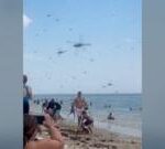 Hundreds of thousands of dragonflies swarm beachgoers