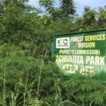 Reverse E.I 144 to protect Achimota Forest – CSOs demand