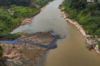 Severe drought has returned to the Amazon. And it’s happening earlier than expected