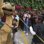 Meet Wisin — Mexico’s latest viral meme and the ‘puppy luchador’