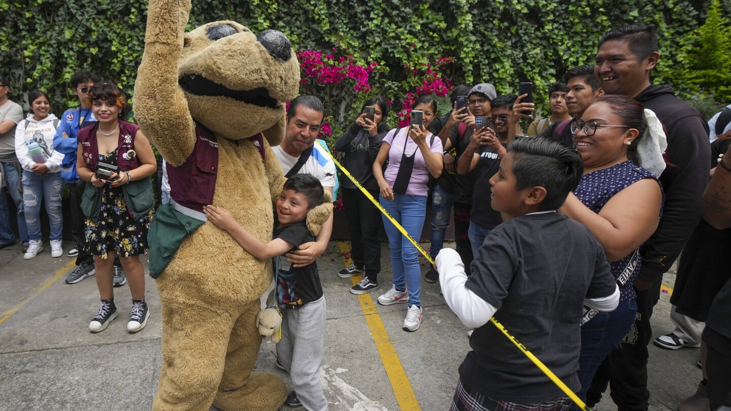 Meet Wisin — Mexico’s latest viral meme and the ‘puppy luchador’