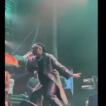 Stonebwoy makes Ghana proud with world-class performance at Reggae Geel Festival in Belgium