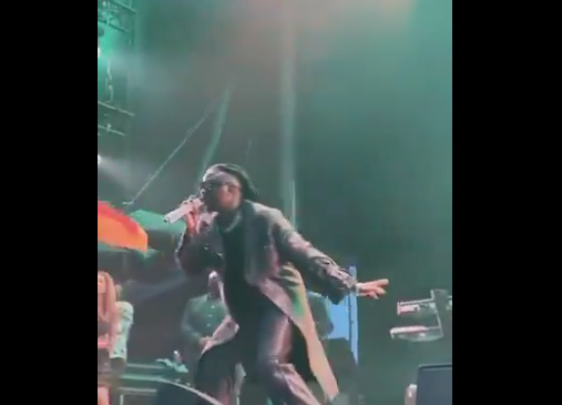 Stonebwoy makes Ghana proud with world-class performance at Reggae Geel Festival in Belgium