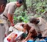 US woman found starving and chained to tree in India tied herself: India police