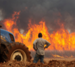 Brazil wildfires leave at least two dead