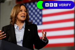 Baseless claim about Kamala Harris crash spread by mysterious site