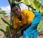 Banana wine: Malawi’s growing industry to beat climate change