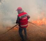 EU mobilises firefighting planes to tackle Portuguese wildfires