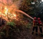 Portugal wildfires: three firefighters die as blazes ‘rage across country’