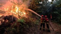 Portugal wildfires: three firefighters die as blazes ‘rage across country’